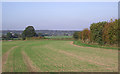 Crop fields near Bobbington, Staffordshire in DY7 5DX