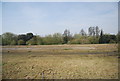 Derelict land by the railway in BN22 8TT