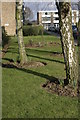 Communal gardens on Wheatlands in TW5 0RT