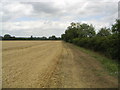 Countryside public footpath in MK17 0JW