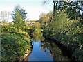 River Stour near Mill Road in October in DY13 9NH