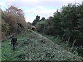 Bridge over old railway line on the Flitch Way near Rayne in CM77 6RG