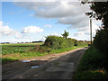 Fields north of Hemblington Hall Road, Hemblington Corner in Hemblington