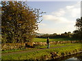 Canal towpath on the Leeds Liverpool Canal in BB18 5TJ