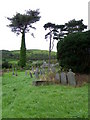 Churchyard, St Rhystud's Church in SY23 5DL