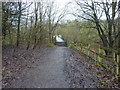 Footbridge over the River Medlock in M43 7WL