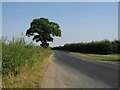 The Road From Stillington To Sheriff Hutton in YO60 6QN