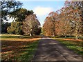 Path in Blenheim Park in OX20 1PS