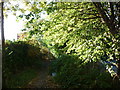 A overgrown path to the rear of Drysalters Pub in LS11 0HW