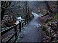 Footpath, Healey Dell in OL12 8TJ