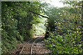 Gulworthy: mine railway in PL19 8JN