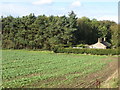 Farmland and woodland near Quarry Cottage in NE45 5RT