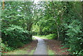 Footpath, Tunbridge Wells Common in TN4 8JN