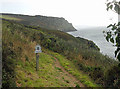 South West Coast Path nears Nare Head in TR2 5PQ
