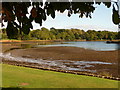 Beaulieu: the river from under a tree in SO42 7YE