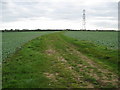 Padbury: Farm track in MK18 2AH