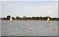 Sailing on Hickling Broad in NR12 0YU