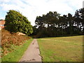 Redhill: path into the woods at Redhill Common in BH10 7DG