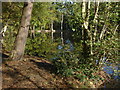 Middle Pond, Fairmile Common in KT10 9FB