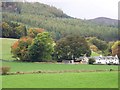 Autumnal colours at Balnacraig, Pitlochry in PH16 5QZ