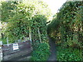 Path from Kettlebrook Cottages to Adhurst in GU32 2BE