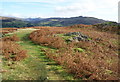 Path on Loughrigg Fell in LA22 9LE