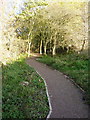 Footpath on dismantled railway, Calderstones Park in BB7 9GU