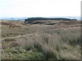 Moorland around the cleugh of Redscar Burn in Plenmeller with Whitfield