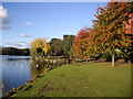 Roath Park, Cardiff, east bank of the lake in CF14 3QJ