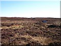 A line of grouse butts on Barden Moor in BD23 6LE