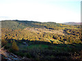 The view east from Brock Crag (210m) in Satterthwaite