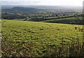 Field and view above Beacon Cross in EX5 4LR