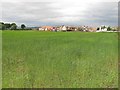 Arable land, Cauldhame in FK2 7AT