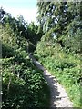 A footpath to the coast at Bouldnor in Bouldnor
