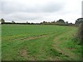 Track along the field edge in Pickworth