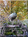 Owl, Stonehills in LA23 3NN
