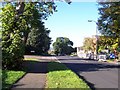 Whitley Wood Road on a sunny morning in RG2 8HQ