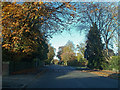 Late October on Heads Lane, Hessle in HU13 0HW
