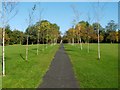 Birch Avenue, Springburn Park in G21 4UL