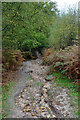 Eroded path, Headley Heath in KT18 6PN