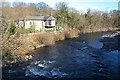 River Wear from bridge downriver from Frosterley in DL13 2RY
