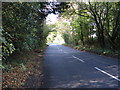 Plaw Hatch Lane west to Tye's Cross in RH19 4JF