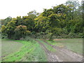Footpath into Whiteleaves Wood in ME2 1EJ