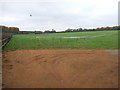 Private training gallops, Newmarket in CB8 0DB