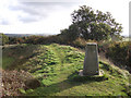 Spettisbury Rings trig point in DT11 9EF