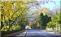 Haslingden Old Road, Rawtenstall in BB4 8HH
