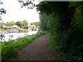 The Thames Path at Eel Pie Island in TW1 4AD