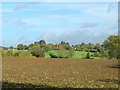 Ploughed field off Pudlicott Lane in GL55 6NR