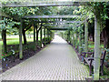 Pergola Walkway in SS2 5PL