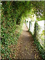 Footpath, Rockbourne in Downlands & Forest North Ward